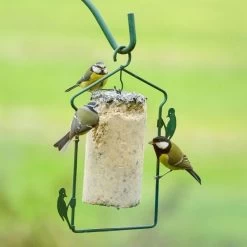 National Trust Seed Peanut Cake (1 Litre) -Bird Supplies Store energiekuchen mit saatkoernern 10040 4