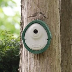 WoodStone® Alicante 32mm Nest Box (Green)