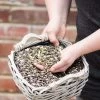 Bird Feeder Seed Mix -Bird Supplies Store futtersaeulen mischung 15104 1 1 1