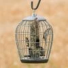 Aura Bird Seed Feeder Guardian Pack -Bird Supplies Store guardian balloon aura 35109
