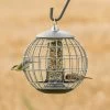 National Trust Athena Bird Seed Guardian Feeder -Bird Supplies Store guardian globe athena 35111
