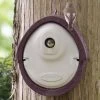 WoodStone® Alicante 32mm Nest Box (Brown) -Bird Supplies Store nistkasten alicante woodstone 32 mm braun 90690 3