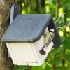Zurich 32mm Nest Box -Bird Supplies Store nistkasten zurich 90781