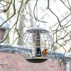 National Trust Athena Bird Seed Guardian Feeder -Bird Supplies Store nt35111 jvg 0863