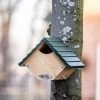 National Trust Robin & Wren Nest Box -Bird Supplies Store nt93072