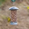 Adventurer Peanut Feeder -Bird Supplies Store pinda adventurer