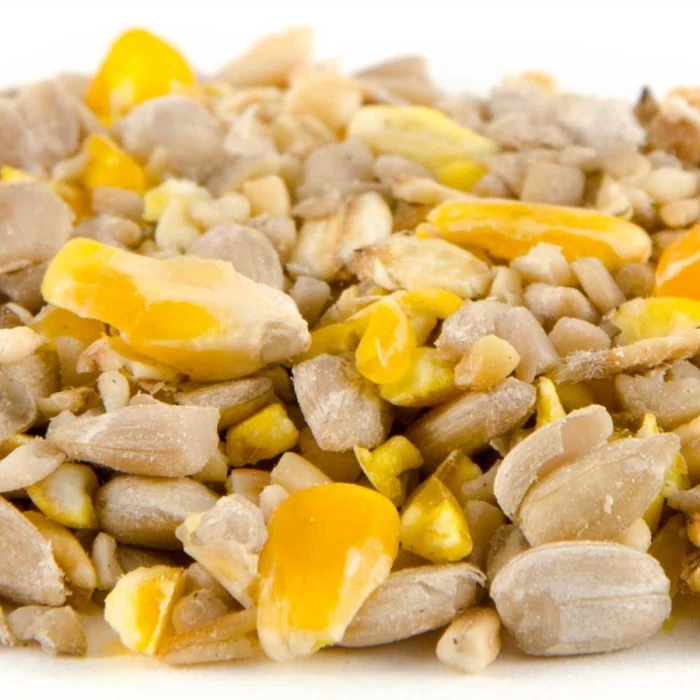 Husk-Free Bird Seed Mix 4 Husk-Free Bird Seed Mix - Image 2