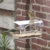 The Rhodes Window Feeder -Bird Supplies Store raamfeeder ppa1199