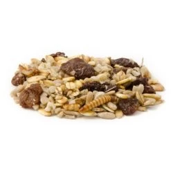 Best Robin Blend Bird Seed Mix -Bird Supplies Store rotkehlchen delikatessen 12057 1