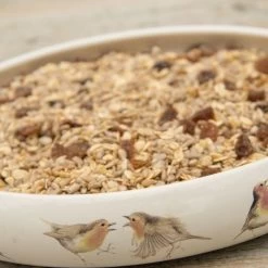 Best Robin Blend Bird Seed Mix -Bird Supplies Store rsz 1robin food dish 12058 ah 0927