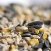 Hi-Energy Seed Mix For Birds -Bird Supplies Store rsz 1stan paulus 1771