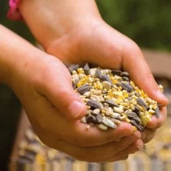 National Trust Garden Bird Table Seed -Bird Supplies Store rsz 5 jv05729 a