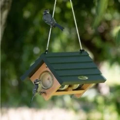 Lifford Hanging Double Peanut Butter Feeder -Bird Supplies Store rsz 932010115 lifford hanging double peanut butter fee qm 3624