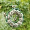 Fat Ball Feeding Ring -Bird Supplies Store vivara fat ball feeder ring 35092