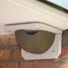 WoodStone® House Martin Nest - Single (Right Entrance) -Bird Supplies Store woodstone huiszwaluwnest enkel ingang rechts 90069 5