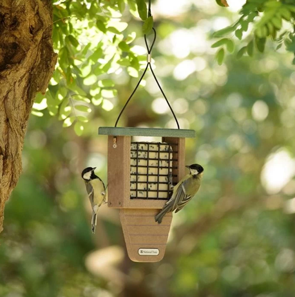 Bird Supplies Store -Bird Supplies Store 342a434b625d0000e15ec1ca318a8c1e