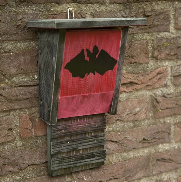 Bird Supplies Store -Bird Supplies Store ba57e133862d0d6b1f144ccb4854a22f