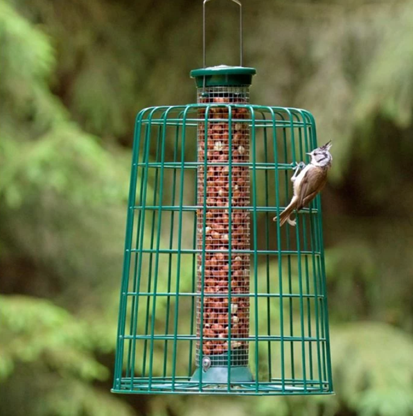 Bird Supplies Store -Bird Supplies Store f93435fafaedcec538ea970091b08659